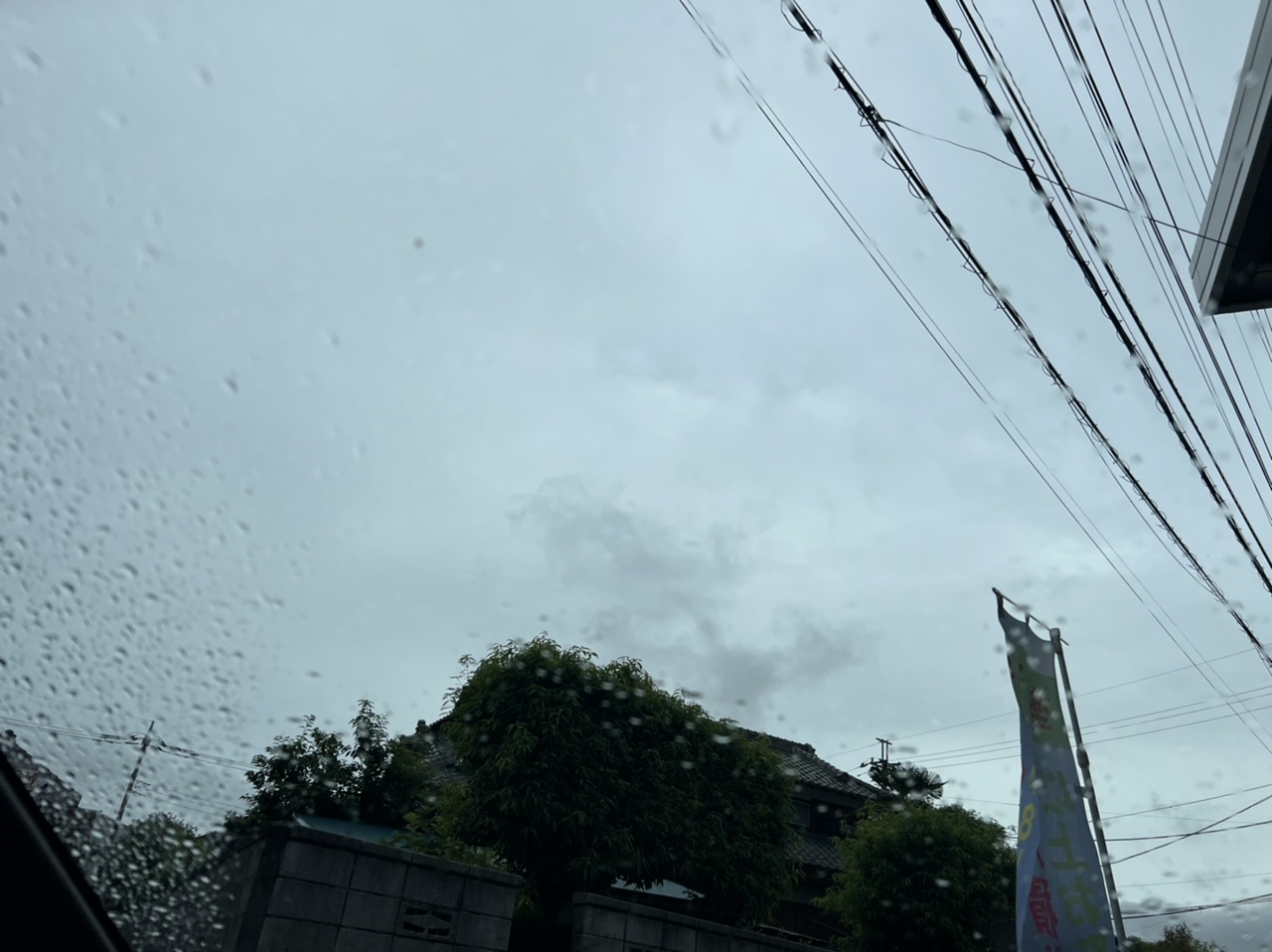 戻り梅雨....☂﻿